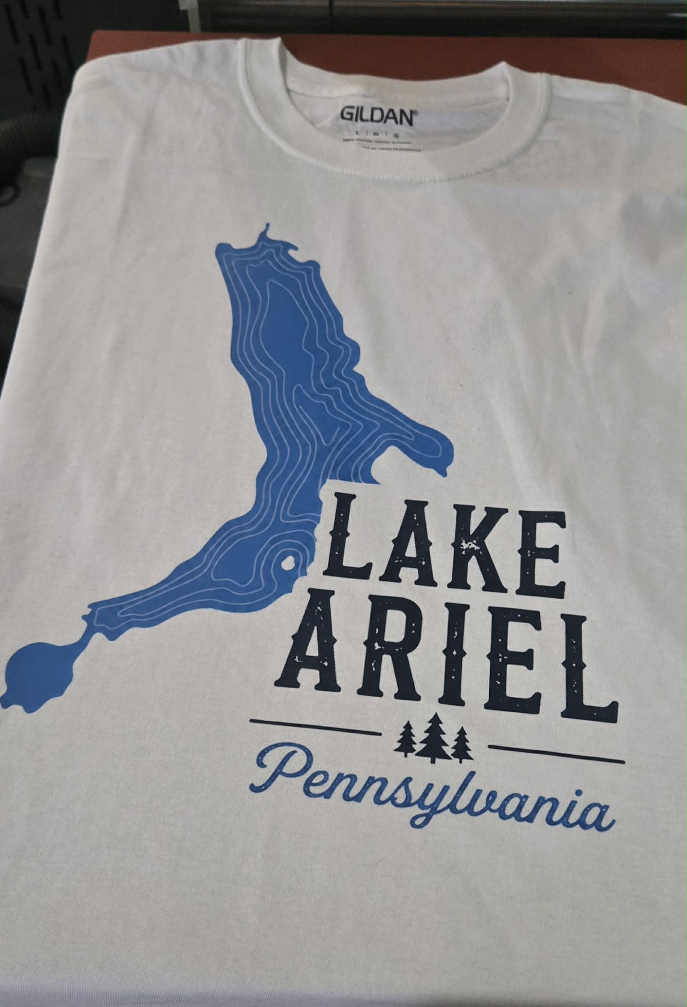 Lake Ariel T-Shirt